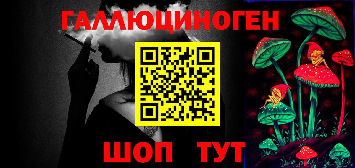 Галлюциногенные грибы Psilocybe Пушкино